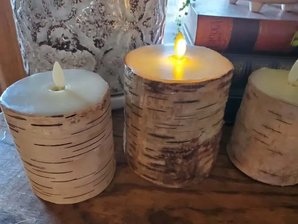 Set of 4 Pottery Barn Luminara Sugared Birch Tree Flameless Pillar Candles
